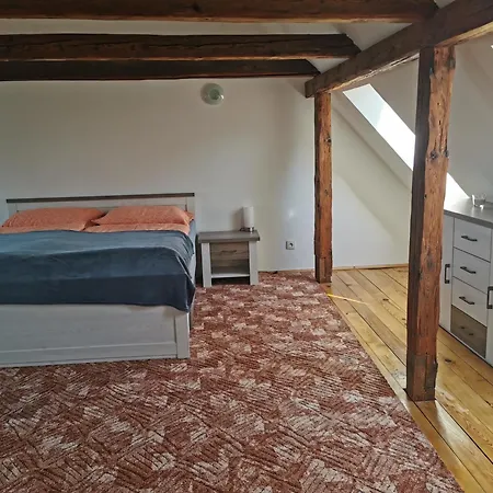 Ferienhaus Dum Na Hradbach Žatec