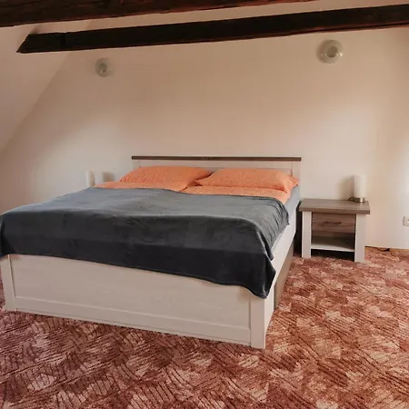 Dum Na Hradbach Ferienhaus Žatec